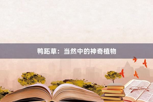 鸭跖草：当然中的神奇植物