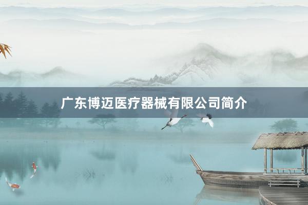 广东博迈医疗器械有限公司简介