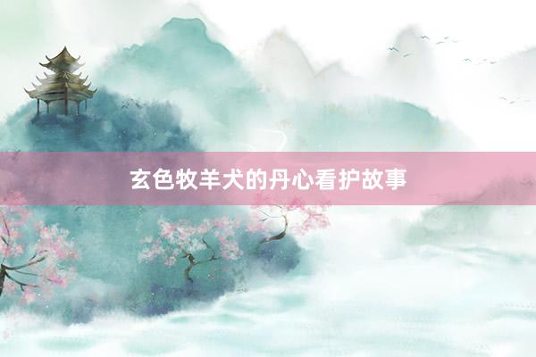 玄色牧羊犬的丹心看护故事