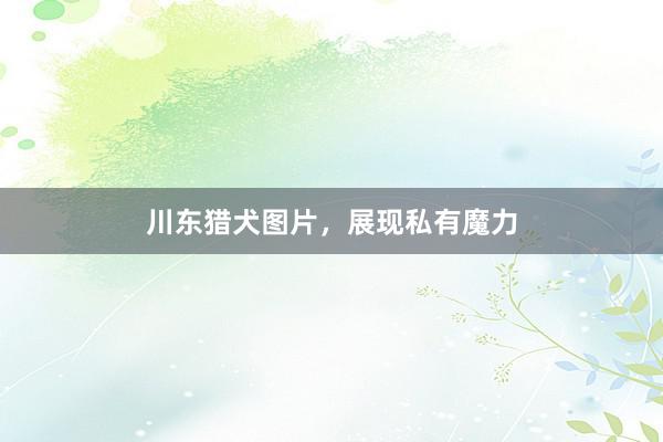 川东猎犬图片，展现私有魔力