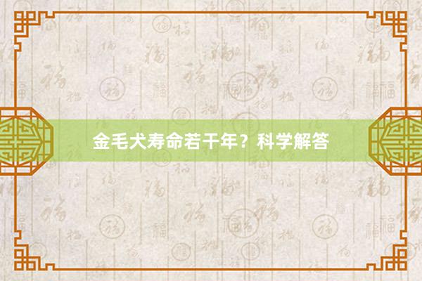 金毛犬寿命若干年?科学解答