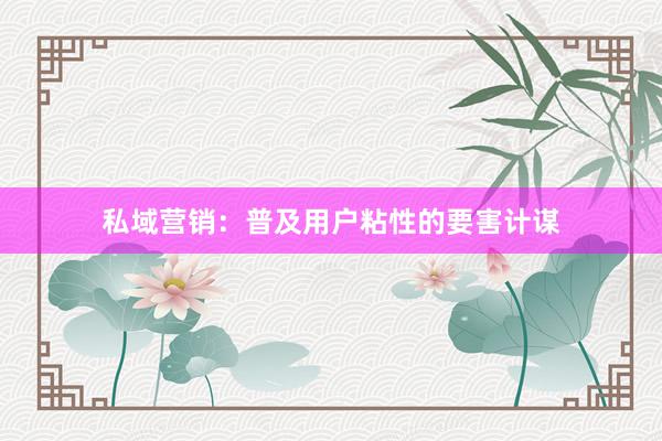 私域营销：普及用户粘性的要害计谋
