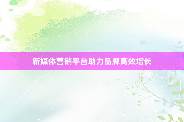 新媒体营销平台助力品牌高效增长